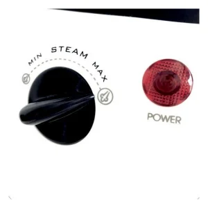 Fer à Repasser Générateur De Vapeur Haeger Marbella 0,9 L 2400W 9
